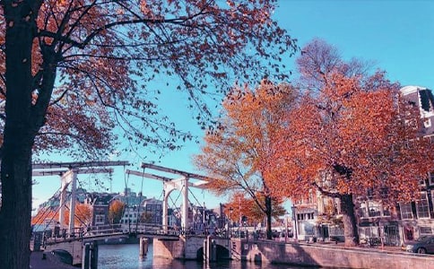 ��д���յ�Ψ������ ��ɫ���ϵ�Ψ������