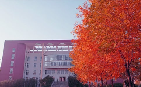 ����Ψ������