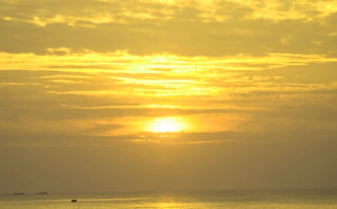 ��д�����ճ���Ψ������