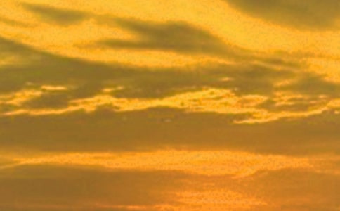 ����ƻ��Ψ������