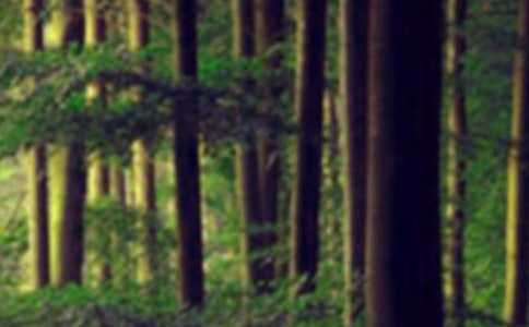 挪威的森林的语录35条