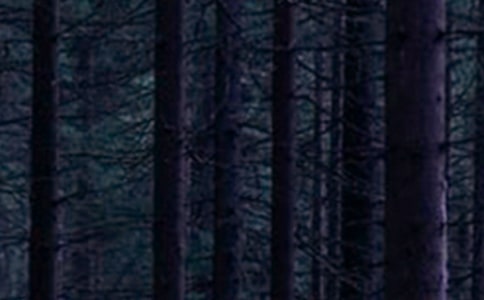 2024年挪威的森林的语录集合39句