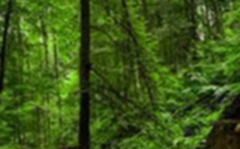 挪威的森林的语录39条