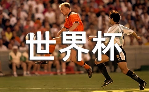 2023�����籭����¼���36��