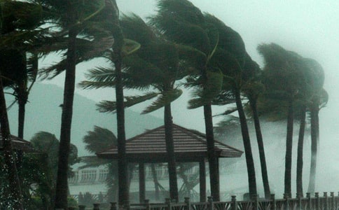 ̨���������˵˵