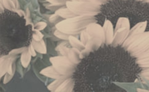 �յ�̫������˵˵