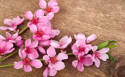 �а�ɫ���һ��ľ���