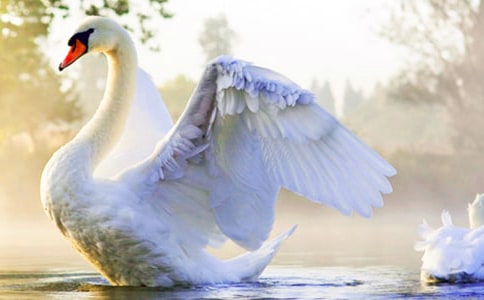 �������ľ���