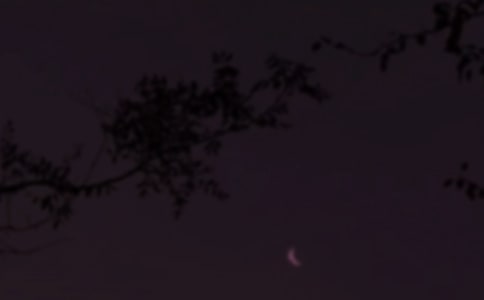 �򵥵���������������¼�ϼ�36��