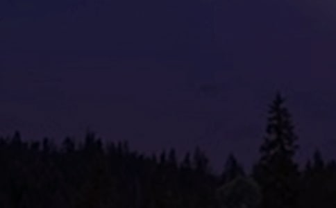 2024���й�������������¼29��