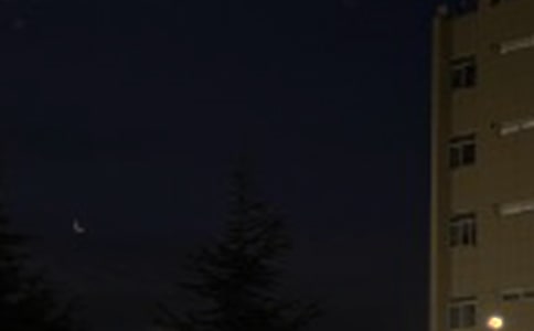 2024�������������������¼����56��