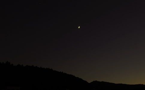 ������¼��������¼