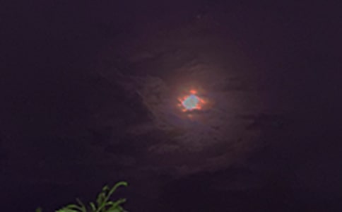 ��̵���������������¼����89��