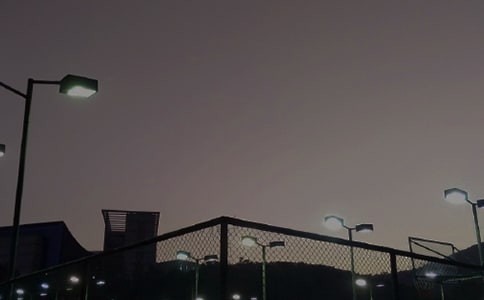 ������־�������ľ������