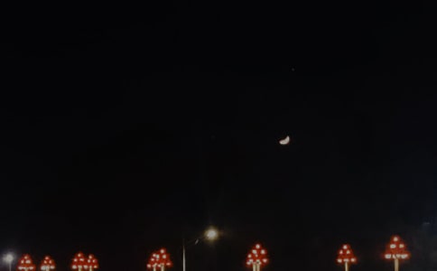 2024��򵥵���������������¼ժ¼89��