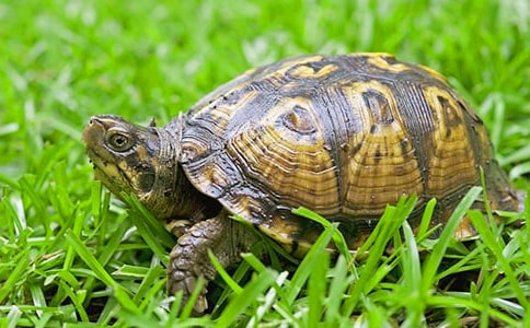 �����ڹ����־�ľ���