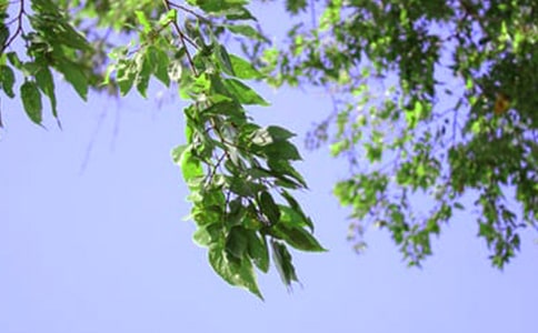 ��̵����������簲��¼46��