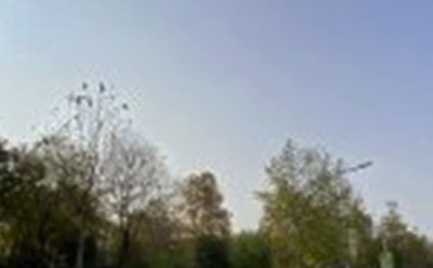 �������������簲��¼���96��