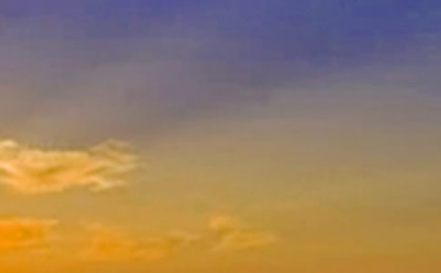 2024���̵����������簲��¼�ϼ�49��