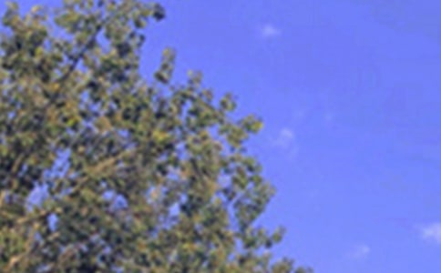 �����������簲ǩ����ȫ��ͨ��100�䣩