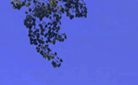 �����š�2024�����������簲��¼����90��