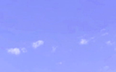 2025��������������簲��¼48��