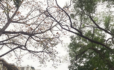 ���ڸ����簲��¼40�侫ѡ