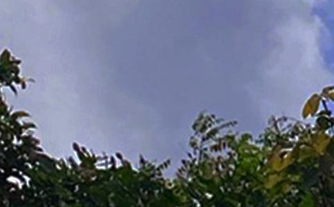 ���������簲��¼����60��