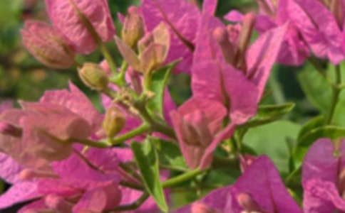 �������簲ǩ����ȫ80��