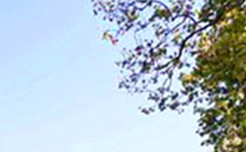 2024��ͨ�����������簲��¼40��