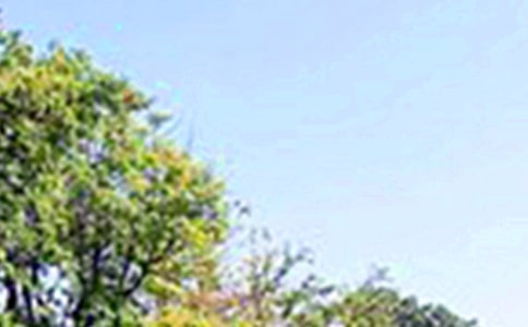 �������������簲��¼40��