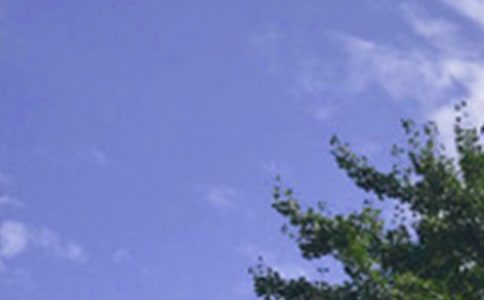 �����������簲���Ӵ�ȫ80�侫ѡ