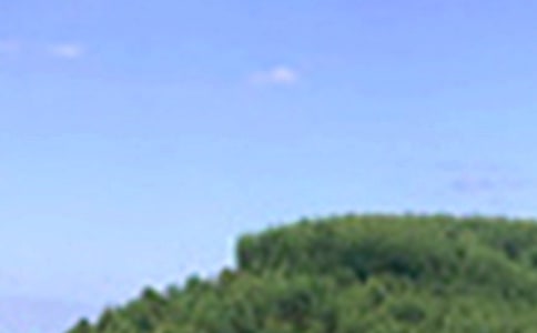 ͨ�����������簲��¼65��