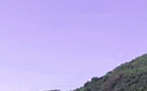 2024�����������簲��¼�ϼ�79��