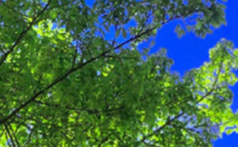 �����������簲ǩ����ͨ��50�䣩