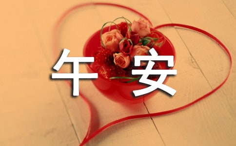 ���ر������������簲��¼98��