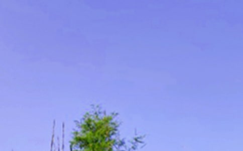 2024�꾭�����������簲��¼30��