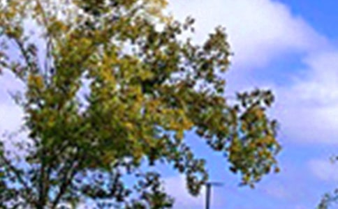 ��ʵ�á�2024�����������簲��¼���96��