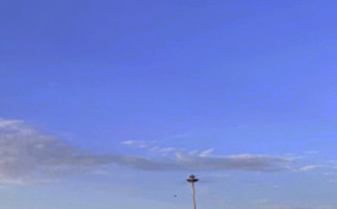 2024���������簲��¼29��