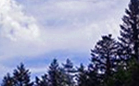 �����������������簲��¼���36��