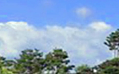 �������������簲��¼99��