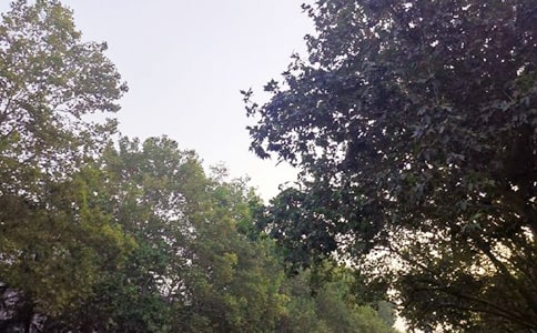 励志午安句子(精选40句)