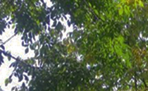 2024��򵥵����������簲��¼95��