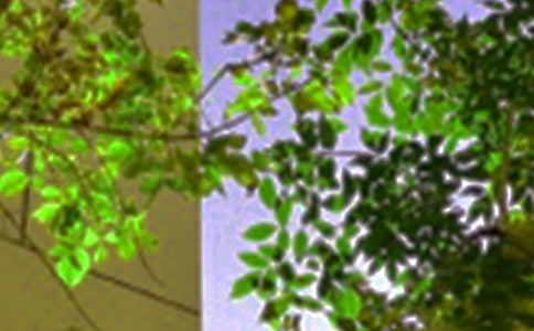 ͨ�����������簲��¼ժ¼98��