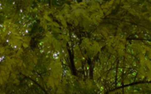 2024��򵥵����������簲��¼���49��