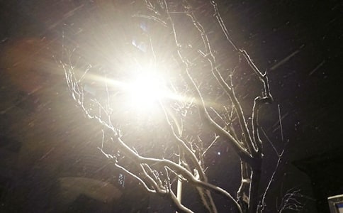 ��ѩ����˵˵����100��