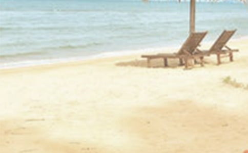 夏季的温柔句子