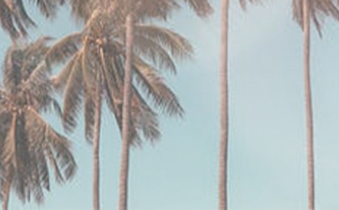 �ļ���ĩף������