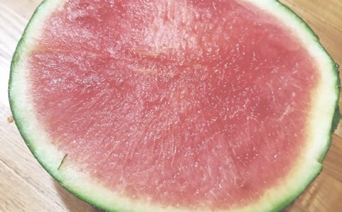 ����������ĩף������