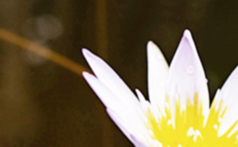 ��������ů��ף����